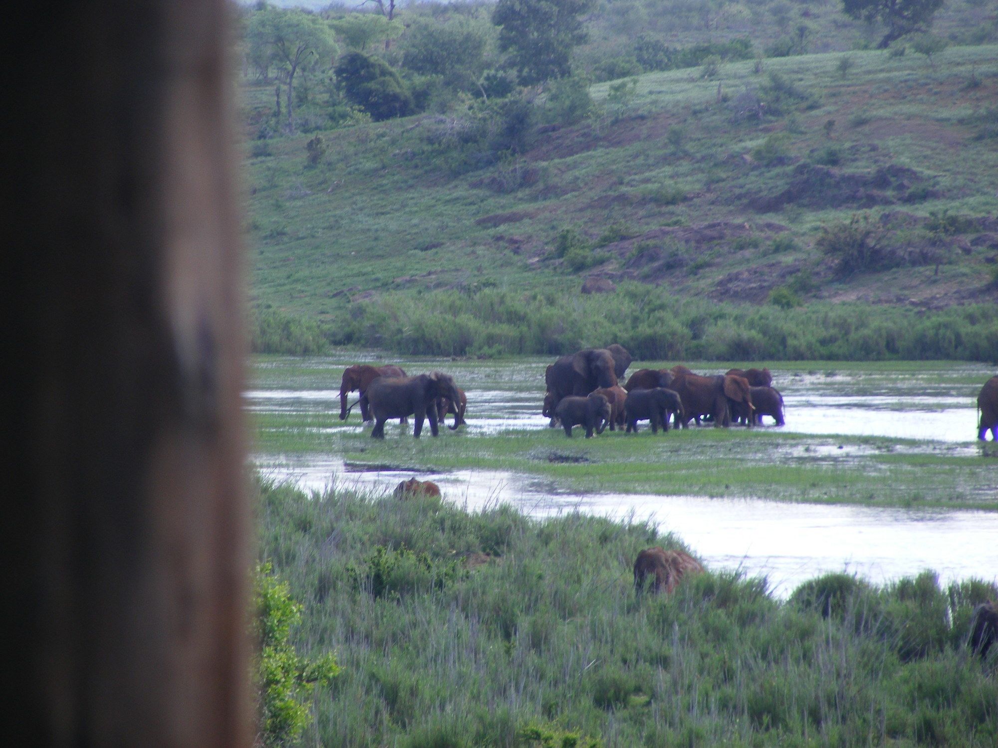 Elephant Walk Retreat Komatipoort Exterior photo