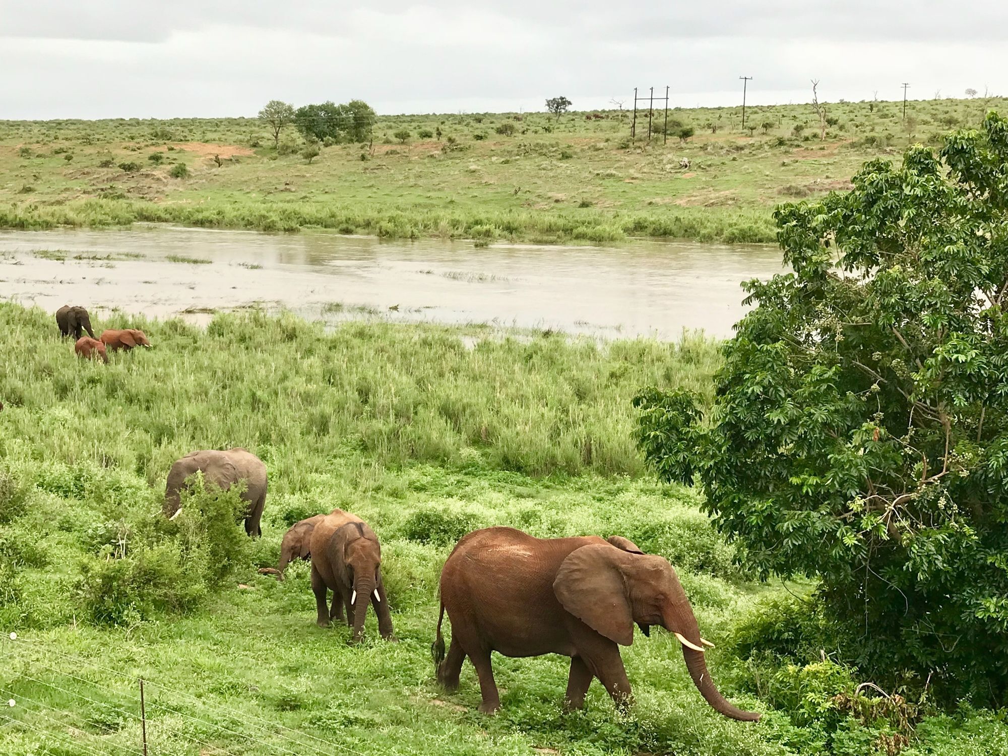 Elephant Walk Retreat Komatipoort Exterior photo