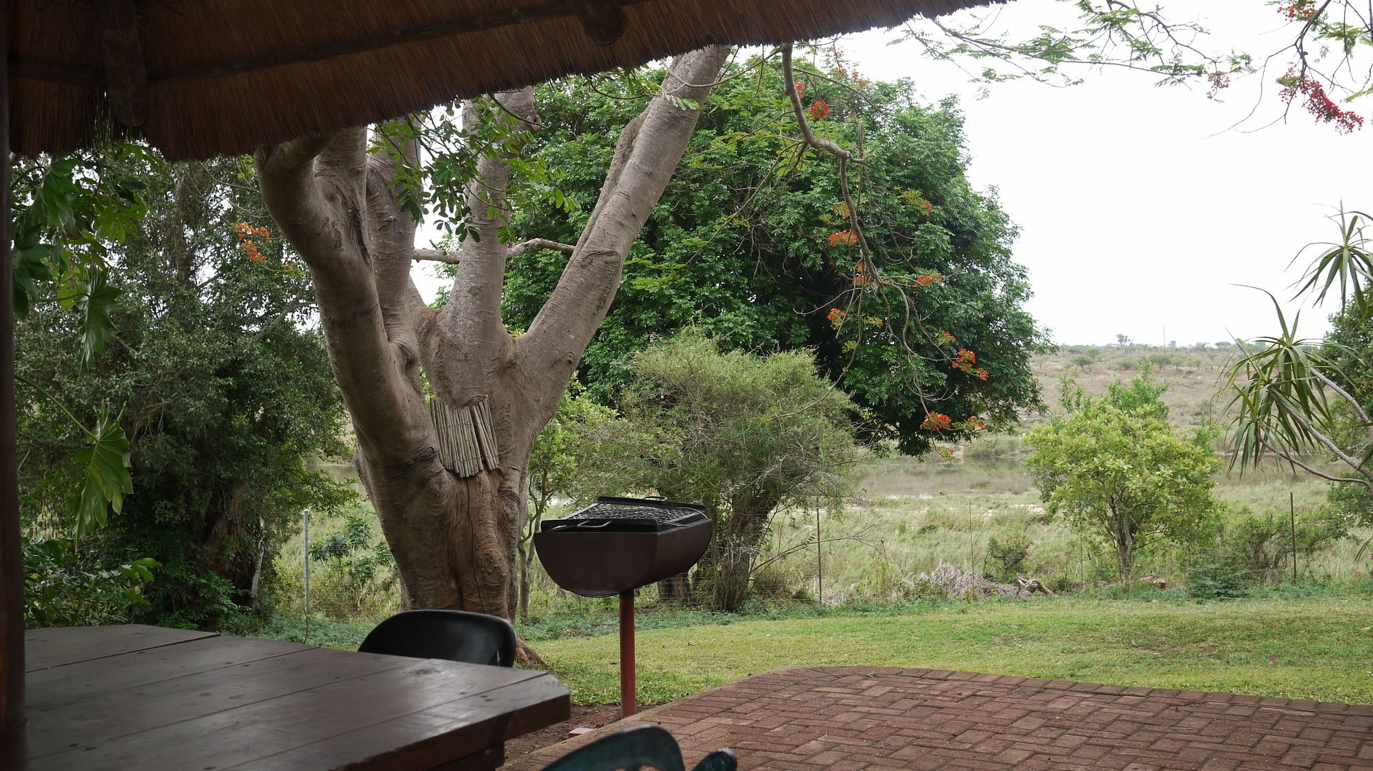 Elephant Walk Retreat Komatipoort Exterior photo