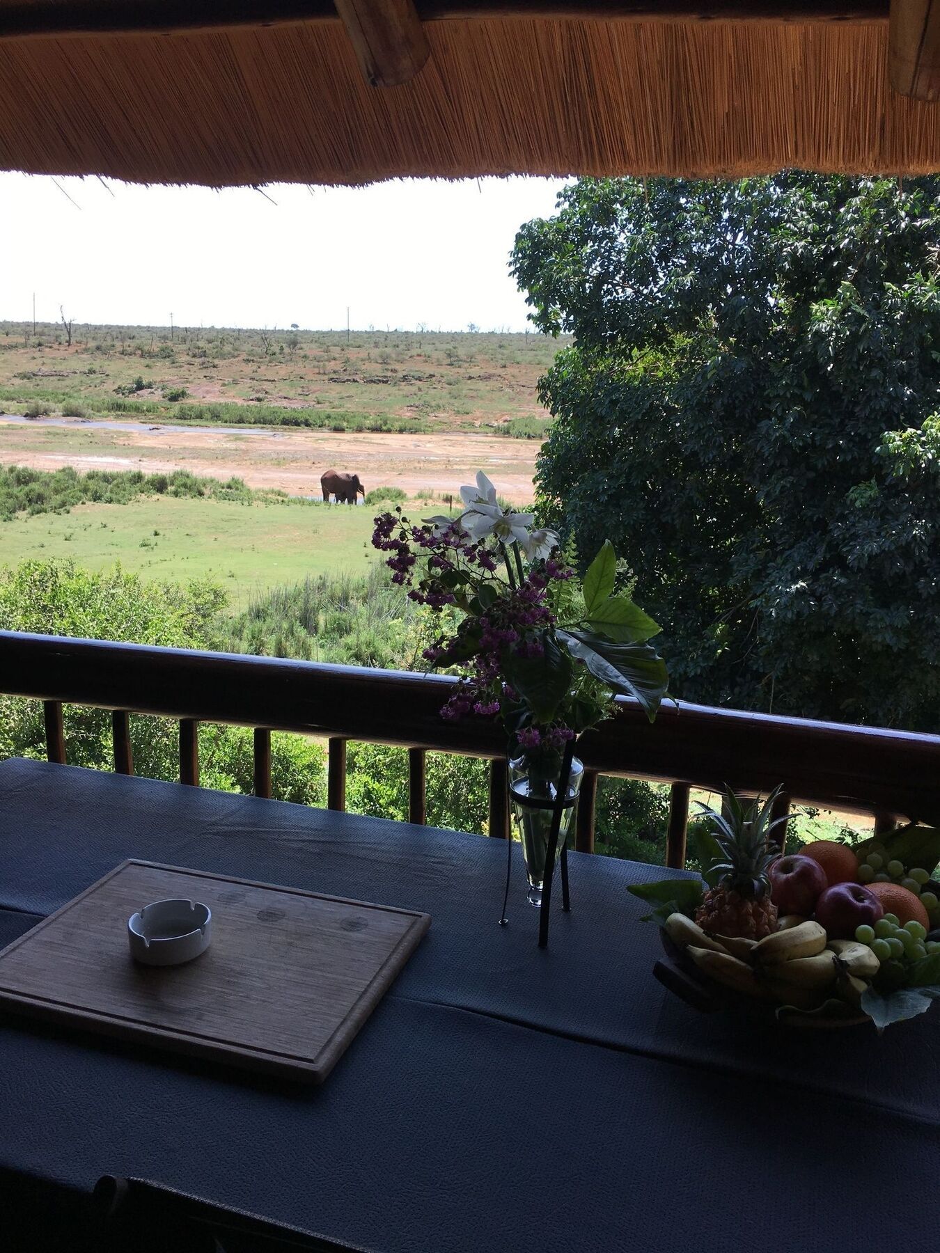 Elephant Walk Retreat Komatipoort Exterior photo