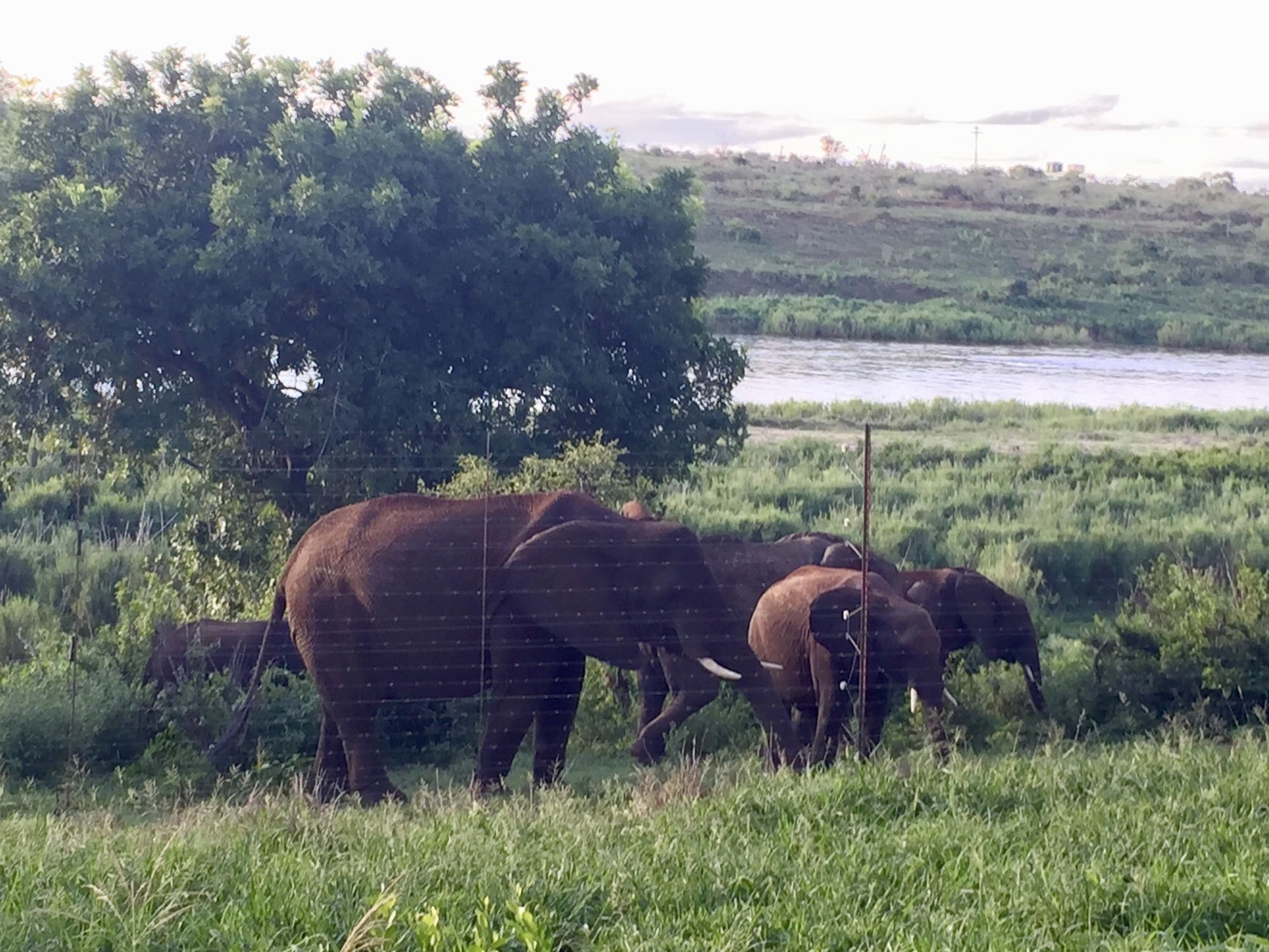 Elephant Walk Retreat Komatipoort Exterior photo